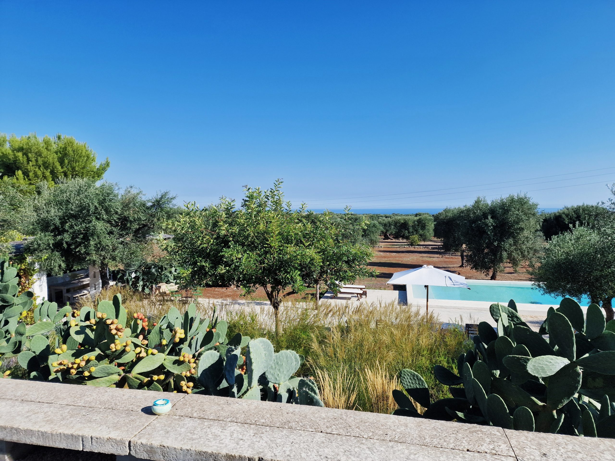 MASSERIA MOROSETA